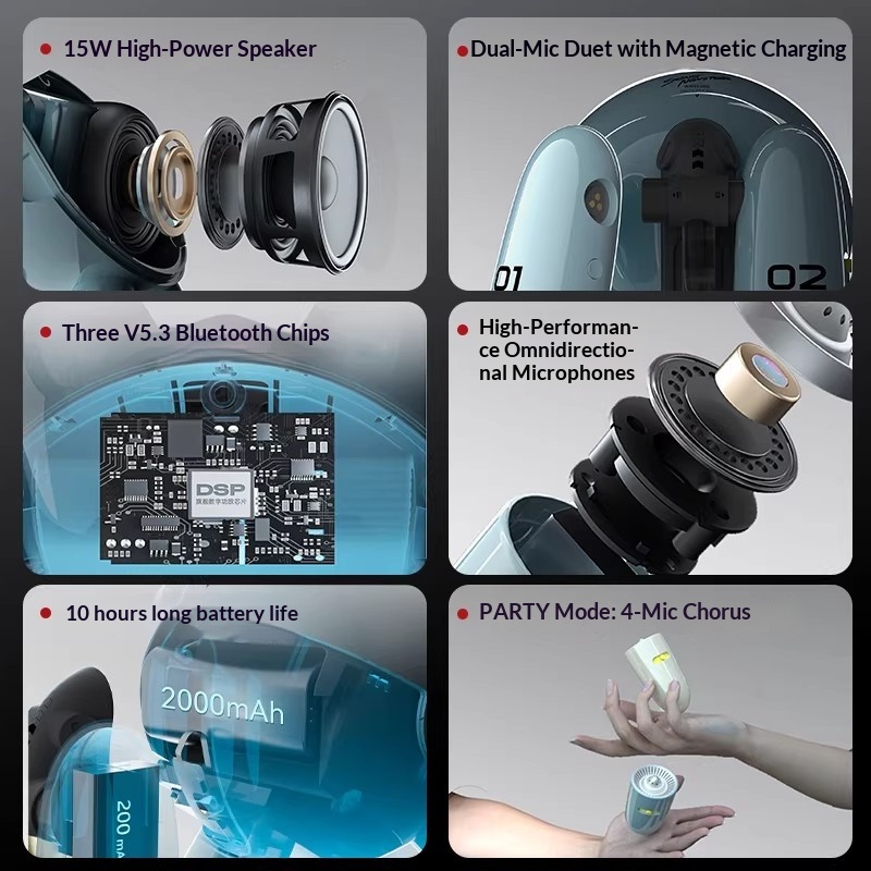 SONGX Audio double Microphone  - Speakers avis et prix