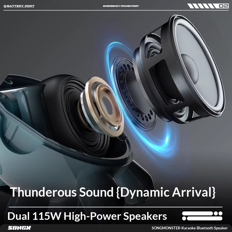 SONGX Audio double Microphone  - Speakers avis et prix